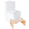 Grohe WC à poser sans bride Euro Ceramic + Tabouret physiologique Bois* Wc À Poser