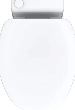 TurboFlush WC broyeur compact l.24,5 x H.47 x P.54,5 cm, blanc en céramique anticalcaire, 500W, double chasse et abattant antibactérien