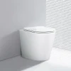 Rentside WC EN PORCELAINE WALL HUNG - SUR PIEDS BLANC* Wc À Poser