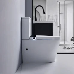 Rentside WC JAPONAIS EN CERAMIQUE - T5 WALL HUNG SUR PIEDS* Wc Japonais