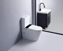 Rentside WC JAPONAIS EN CERAMIQUE - T5 WALL HUNG SUR PIEDS* Wc Japonais