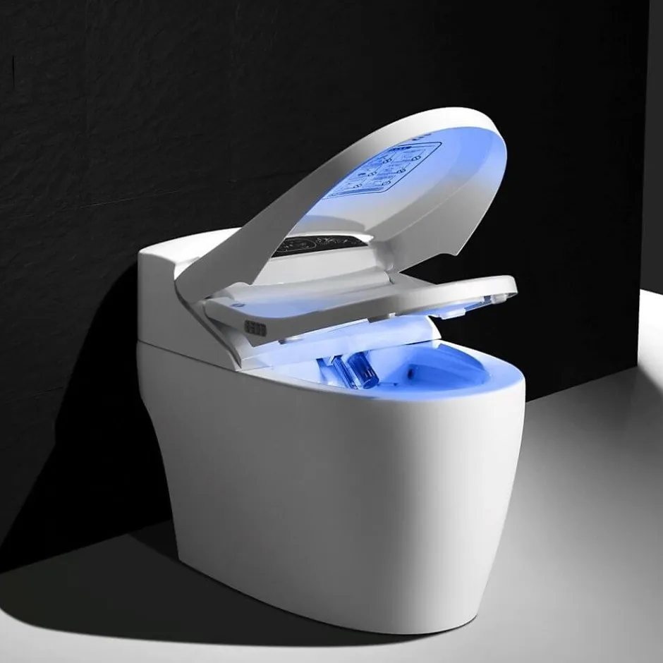 Toptoilet WC Japonais Monobloc Luxe Platinium 2 Plus