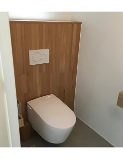 Toptoilet Wc Lavant suspendu Crystal Plus 2