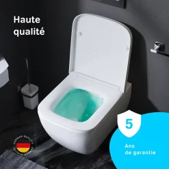 Am.Pm Europe WC suspendu céramique sans bride cuvette WC suspendu sans bord FlashClean abattant amov. frein chute softclose blanc AM.PM Gem