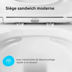 Am.Pm Europe WC suspendu céramique sans bride cuvette WC suspendu sans bord FlashClean abattant amov. frein chute softclose blanc AM.PM Gem