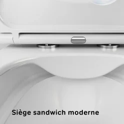Am.Pm Europe WC suspendu céramique sans bride cuvette WC suspendu sans bord FlashClean abattant amov. frein chute softclose blanc AM.PM Func