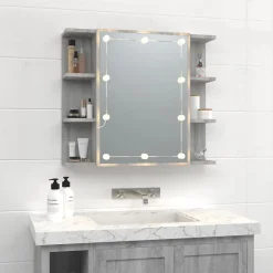 zmh Armoire à miroir avec LED Sonoma gris 70x16,5x60 cm* Meuble Wc