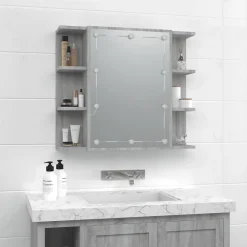 zmh Armoire à miroir avec LED Sonoma gris 70x16,5x60 cm* Meuble Wc